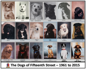 Composite: Dogs of Fifteenth Street